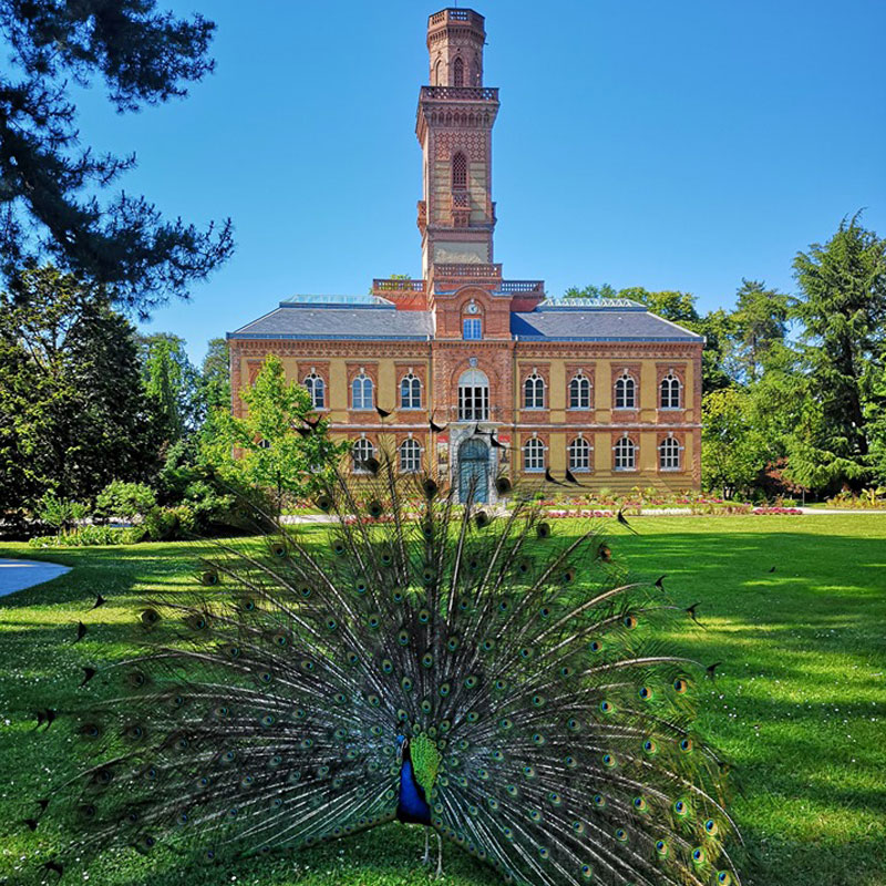 Jardin Massey - Le musee Massey