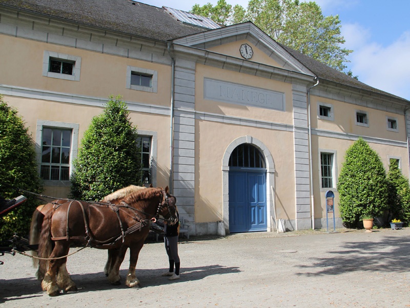 Si l'histoire de Tarbes nous était contée, elle retracerait pas à pas celle de son Haras : un parc naturel au coeur de la ville, site classé et historique, créé par Napoléon en 1806, berceau de l'anglo-arabe et musée vivant !