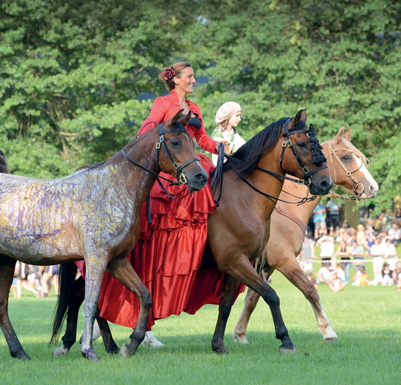 Equestria©Service-Com-Mairie-de-Tarbes