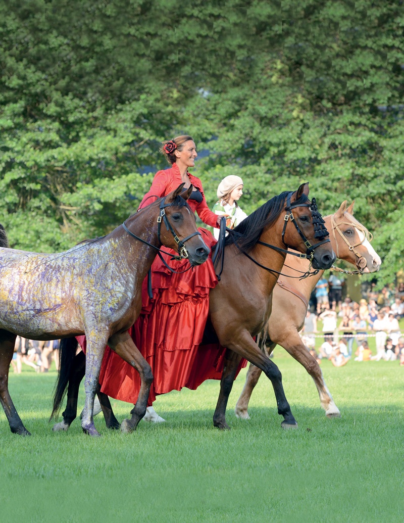 Equestria©Service Com Mairie de Tarbes