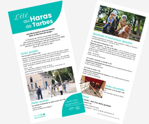 L'été au Haras de Tarbes