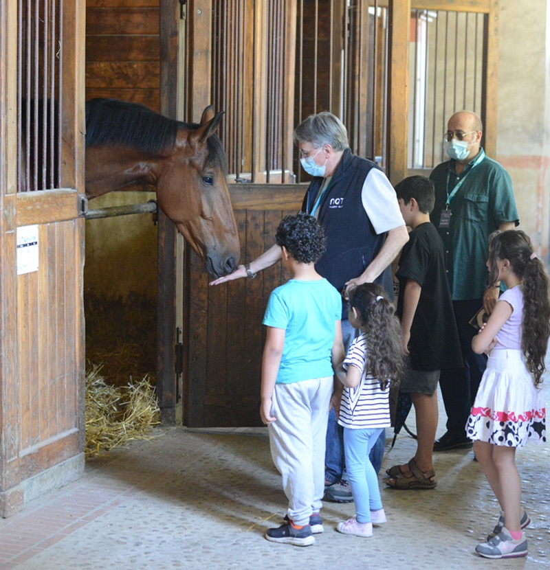 Visite guidée du Haras©Service Com Mairie de Tarbes Tarbes en tourisme - Office du tourisme - Hautes-Pyrénées - visite guidée du Haras