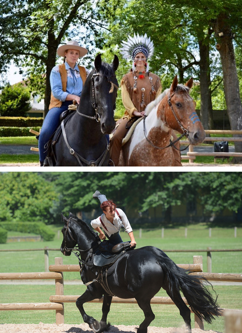 L'été au Haras de Tarbes ©Service Communication Mairie de Tarbes
