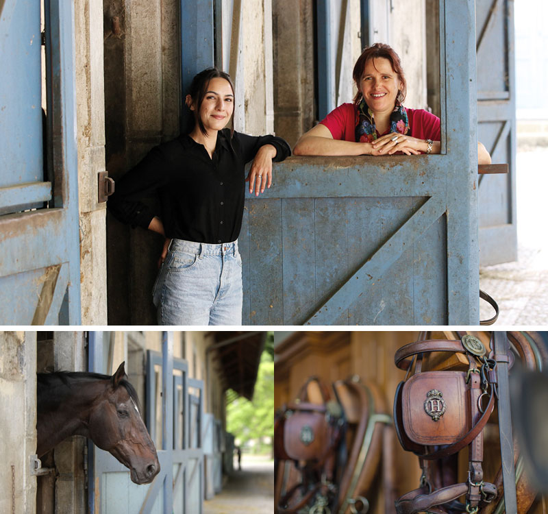 Visite guidée du Haras©service-com-mairie-tarbes Visite guidée du Haras©Service Com Mairie de Tarbes