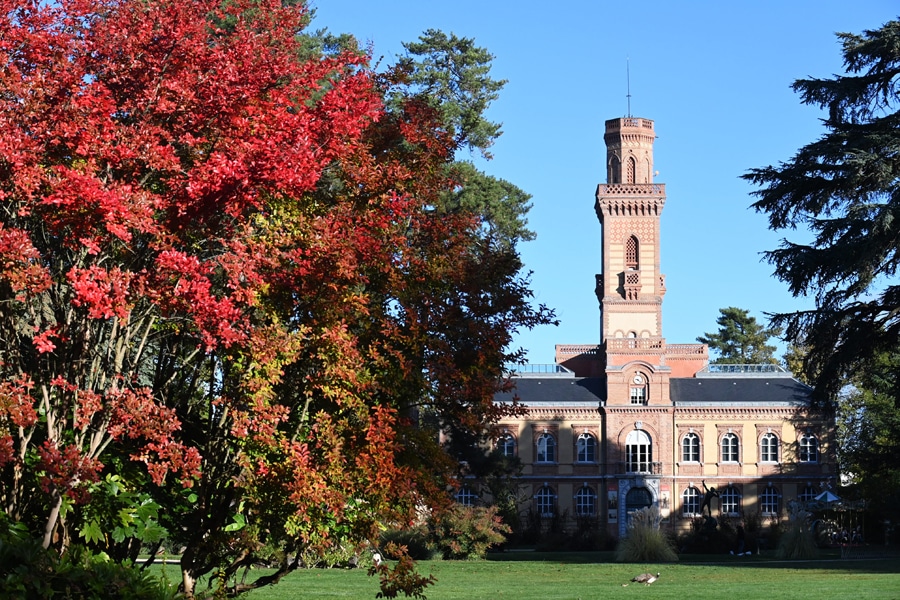 Jardin massey en automne avec vue sur le Musée Massey