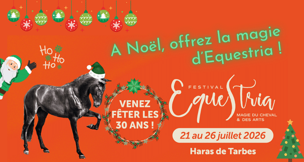 Carte cadeau Equestria avec déco Noël pour offrir en cadeau