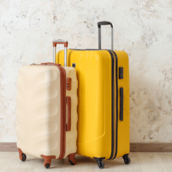 Image de 2 valises posées pour illustrer la rubrique Consigne bagages