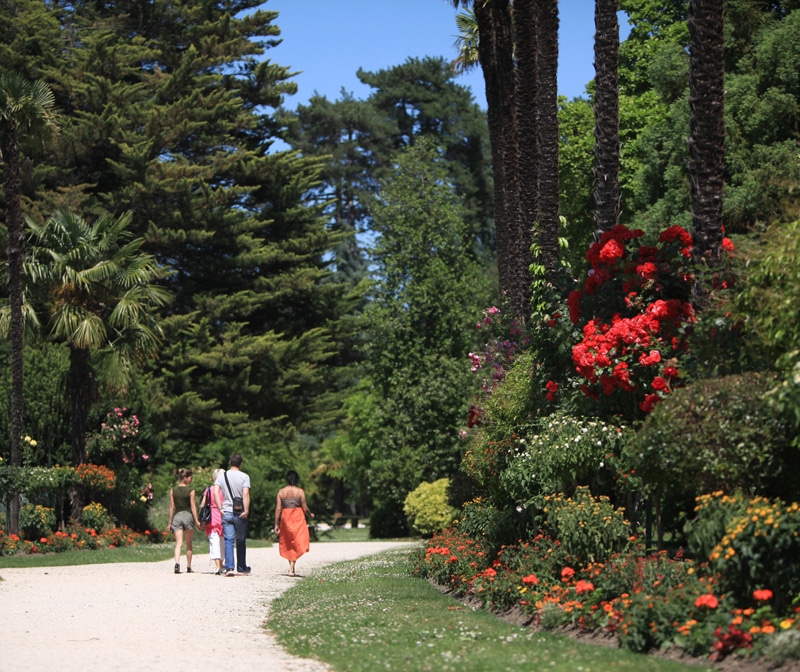 Un groupe de personnes se promène au milieu de la végétation luxuriante et des fleurs colorées du jardin Massey