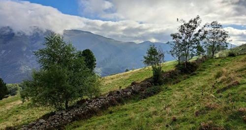 Portrait de François. P, résistant tarbais. Photo en en noir et blanc
