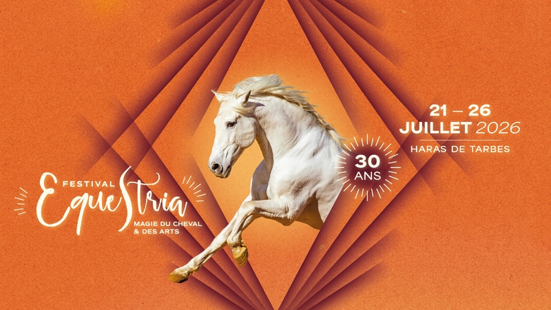 Tarbes en Décembre : Animations et village de Noël